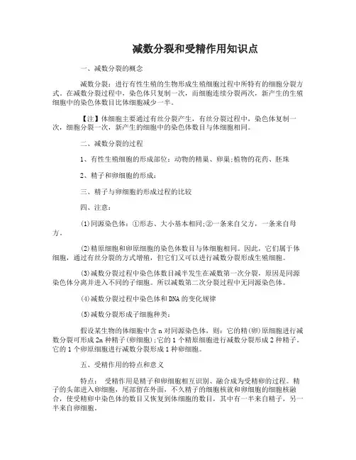 高中生物必修二基因和染色体的关系知识点