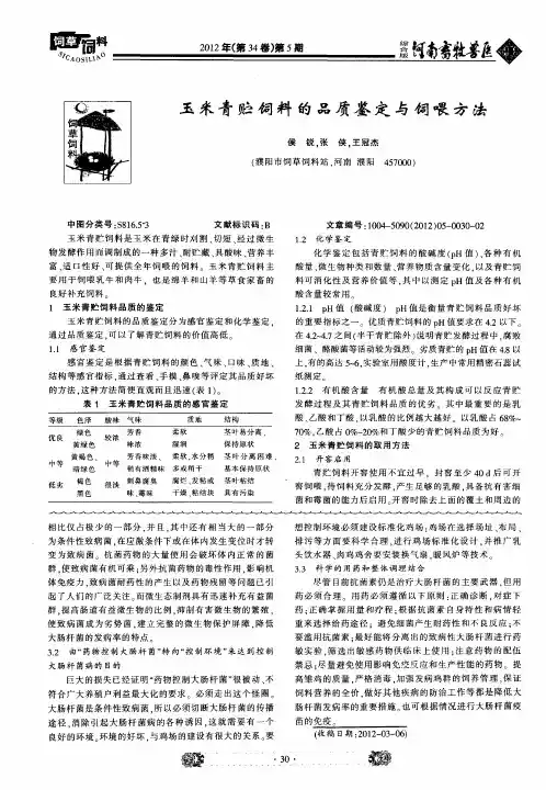 玉米青贮饲料的品质鉴定与饲喂方法