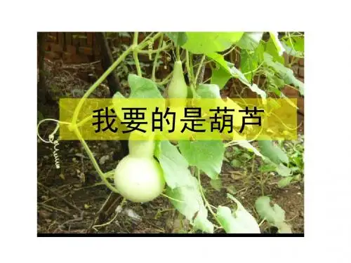 小学语文二年级上册14我要的是葫芦