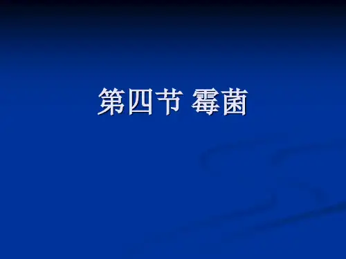 霉菌