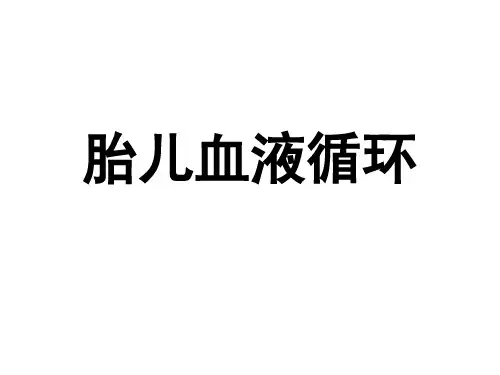 胎儿血液循环