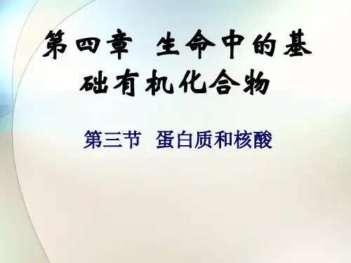 蛋白质和核酸课件