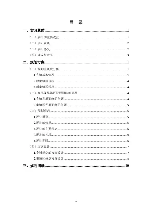 城乡规划实习报告