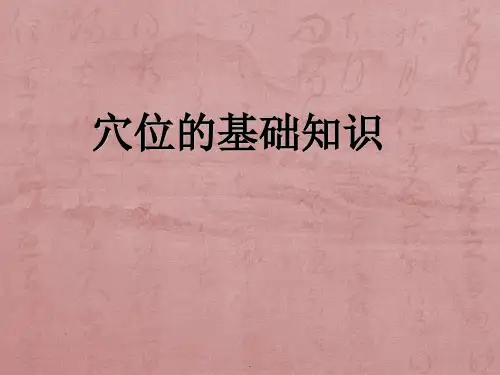 穴位的基础知识