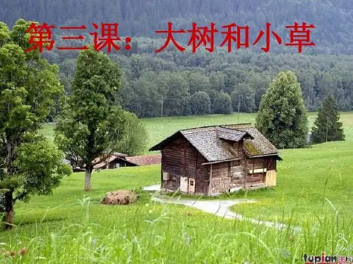 1.3大树和小草