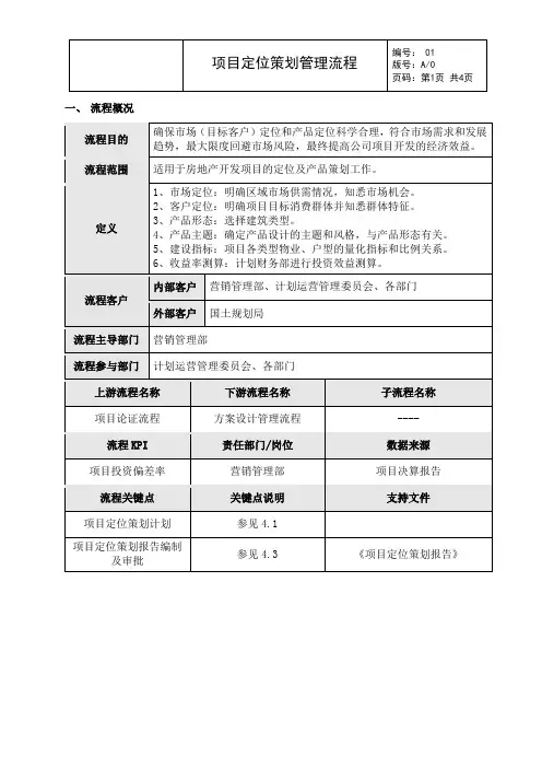 项目定位策划流程