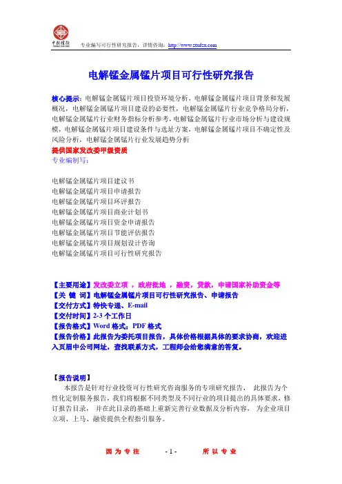 电解锰金属锰片项目可行性研究报告
