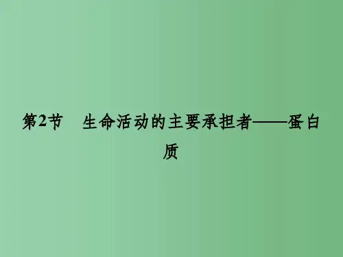高中生物 2.2《生命活动的主要承担者 蛋白质》课件 新人教版必修1