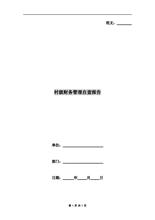 村级财务管理自查报告
