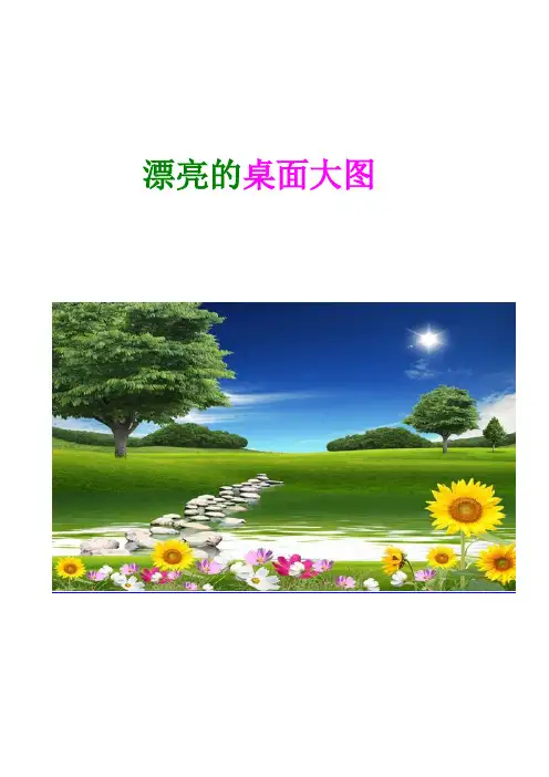 漂亮的桌面大图
