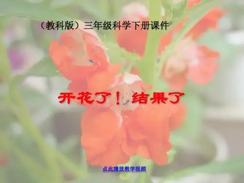 1.6开花了_结果了(2)