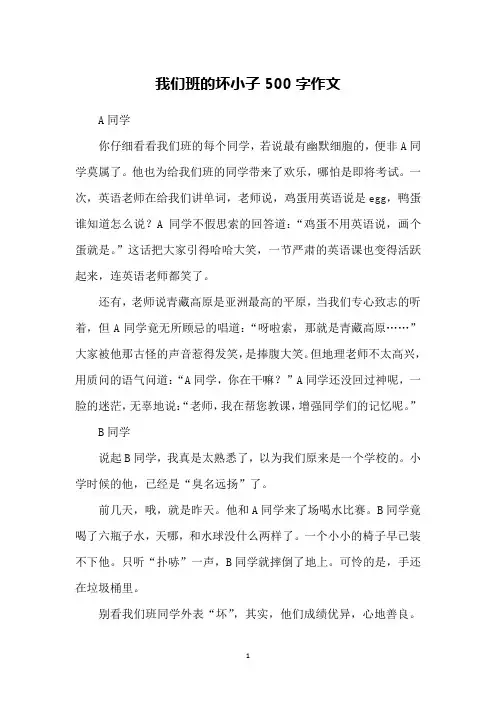 我们班的坏小子500字作文