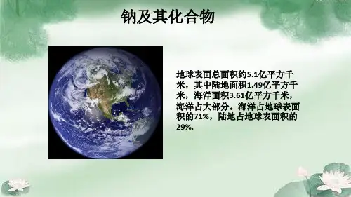 2019新人教版化学必修一第二章第一节钠及其化合物