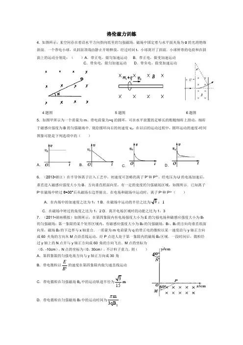 洛伦兹力专题训练及答案