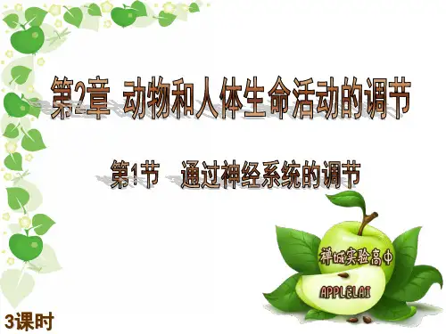 人教版高中生物必修三第二章第1节《通过神经系统的调节》 课件 (共72张PPT)