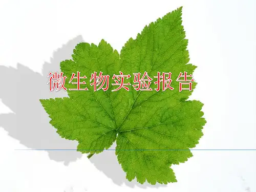 微生物实验