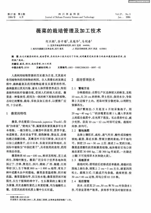 薇菜的栽培管理及加工技术