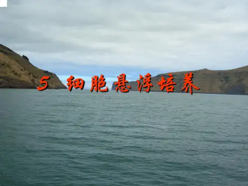 细胞悬浮培养