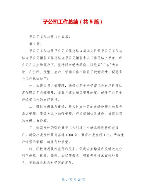 子公司工作总结(共5篇)