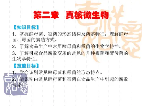 酵母菌的繁殖和生活史