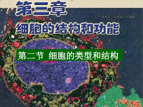 细胞的类型和结构PPT课件