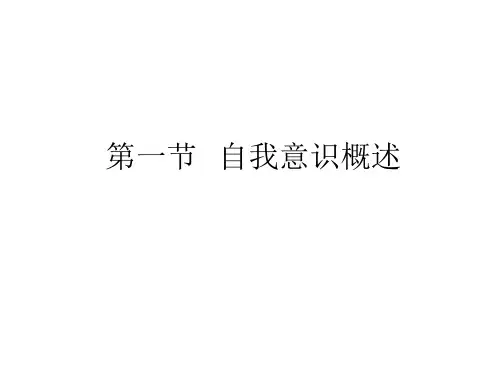 自我意识概述