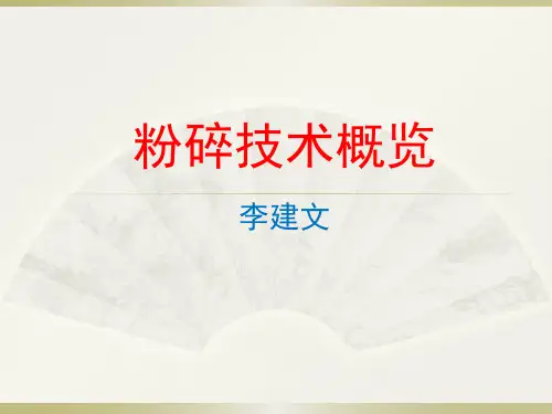 2 粉碎技术概览