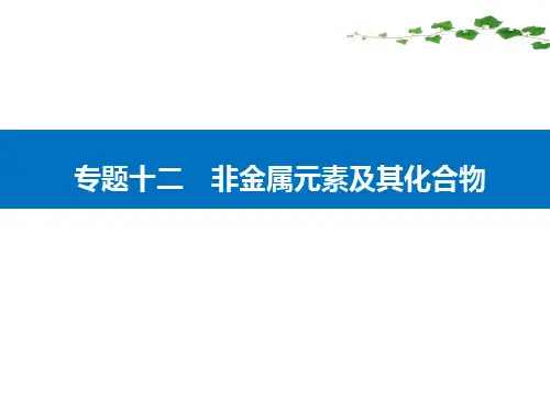 2021届新高考化学二轮(选择性考试)专题复习课件：专题十二 非金属元素及其化合物