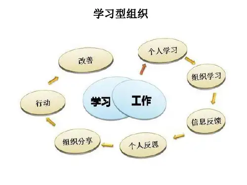 学习型组织知识讲解