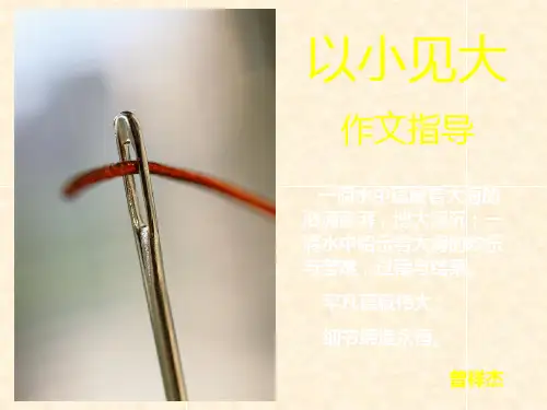 ”以小见大“作文指导PPT课件
