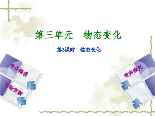 2018届中考物理一轮复习课件：第3课时 物态变化课件2