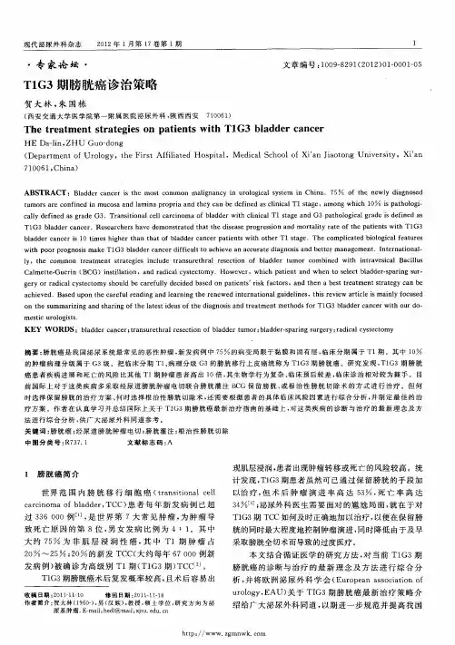 T1G3期膀胱癌诊治策略