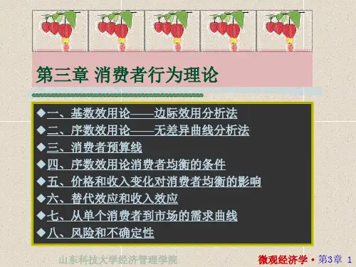 微观经济学3