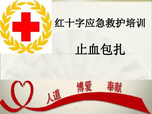 止血包扎PPT课件