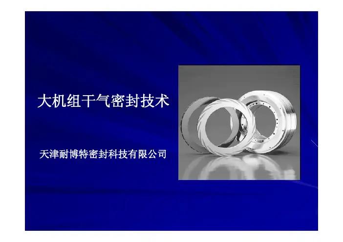 干气密封技术(天津耐博特密封科技有限公司)