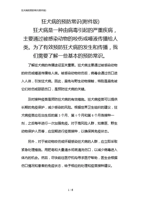 2024年狂犬病的预防常识(版)