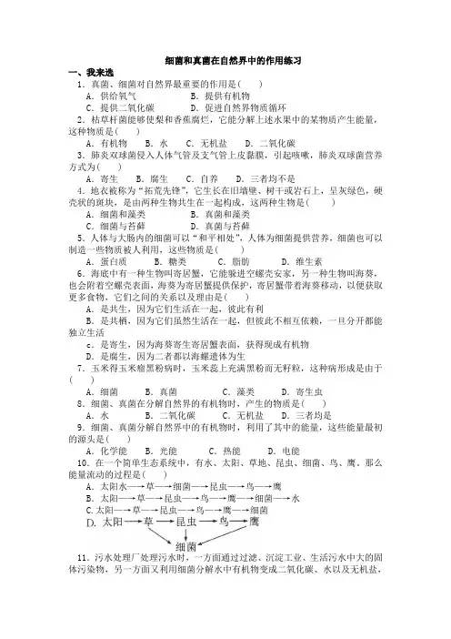 八年级生物上册第四章第四节细菌和真菌在自然界中的作用练习