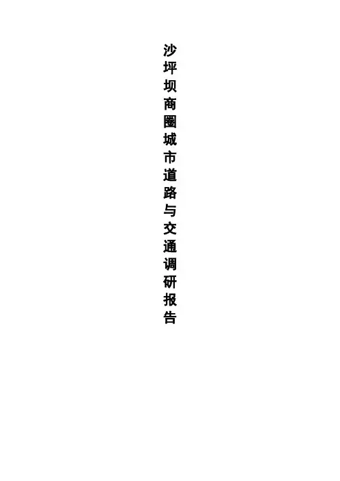 沙坪坝商圈道路与交通调研报告