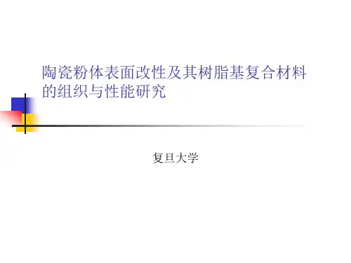 导热填料表面处理