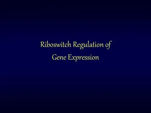分子生物学第十一章riboswitchmovie