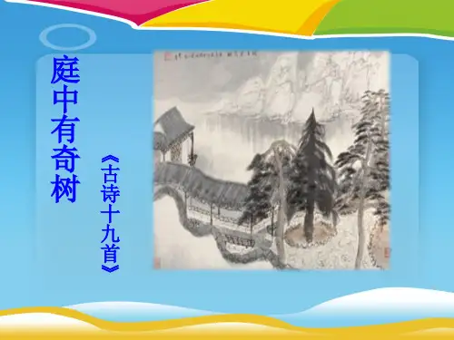 《庭中有奇树》PPT课件