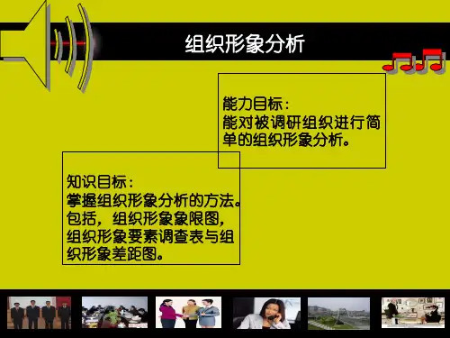 组织形象分析