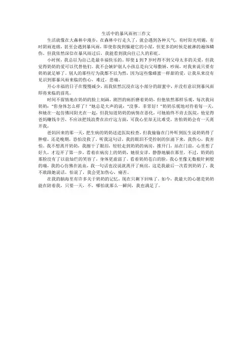 生活中的暴风雨初三作文
