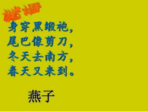 给动物设计名片
