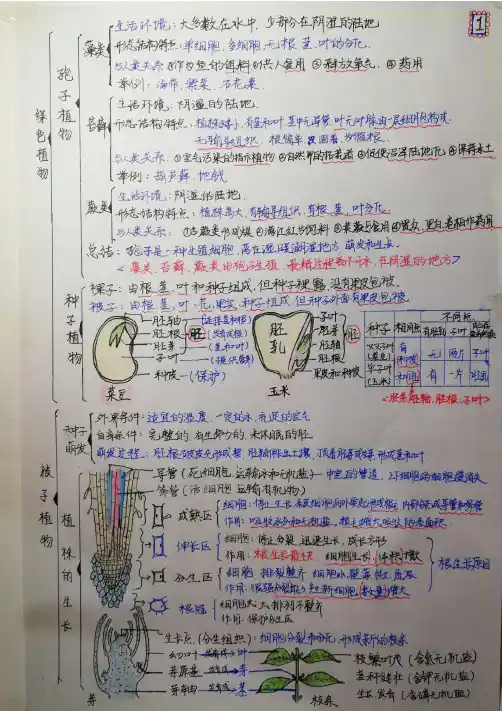 生物期末总结