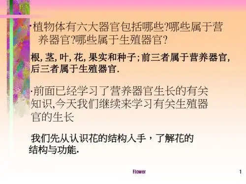 七年级生物花的结构(2)