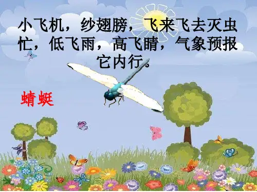 动物儿歌第一课时