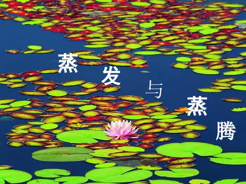蒸发与蒸腾