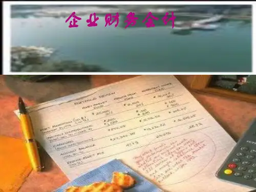 企业财务会计(第一章绪论)