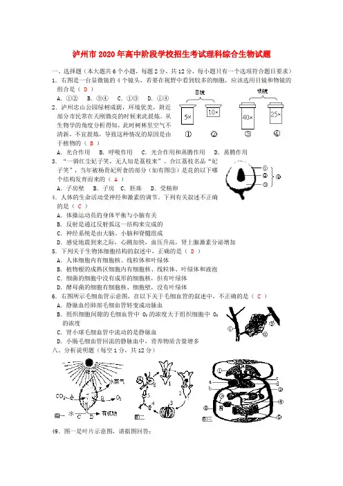 四川省泸州市2020年中考理综真题试题(生物部分)